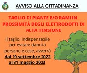 TAGLIO DI PIANTE E/O RAMI IN PROSSIMITÀ DEGLI ELETTRODOTTI DI ALTA TENSIONE