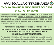 TAGLIO PIANTE IN PROSSIMITà DEI CAVI DI ALTA TENSIONE